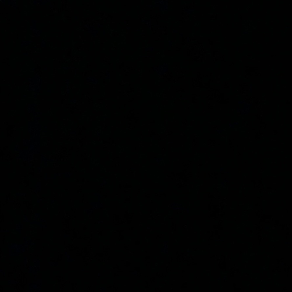 Meet your Posher, Alexsis